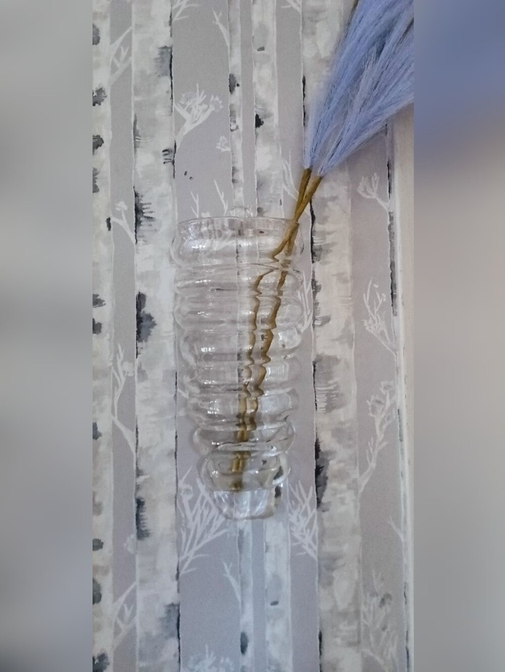 Clear Glass Ribbed Wall Vase